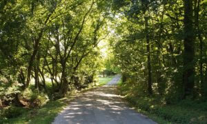 Engineered Spirits - Petty Branch Road