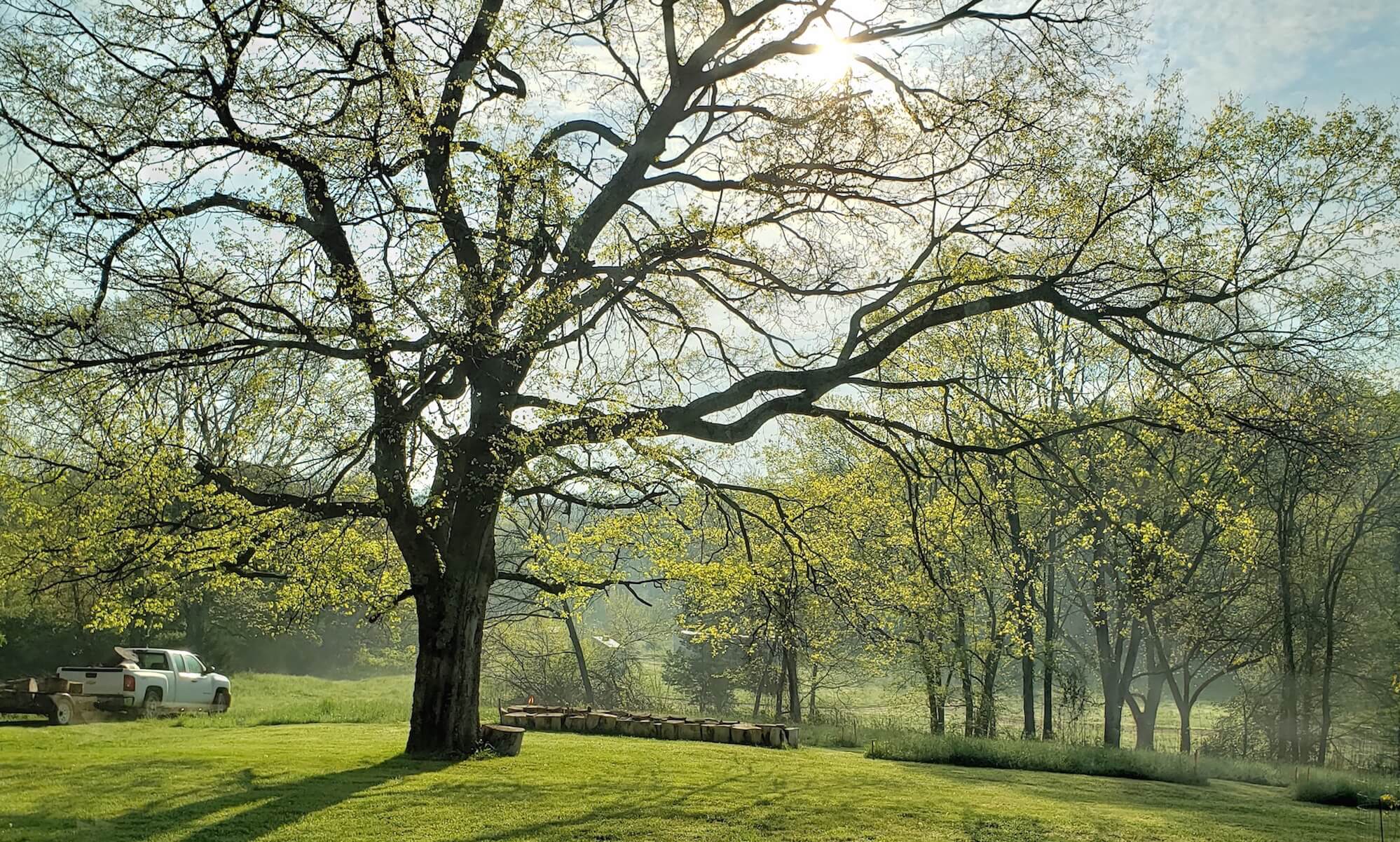 Engineered Spirits - A fine spring morning