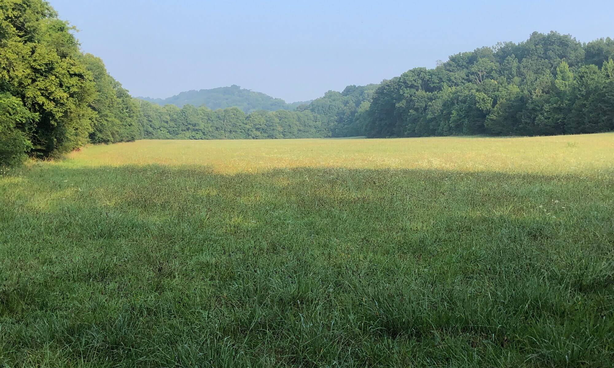 Engineered Spirits - Misty Upper Field
