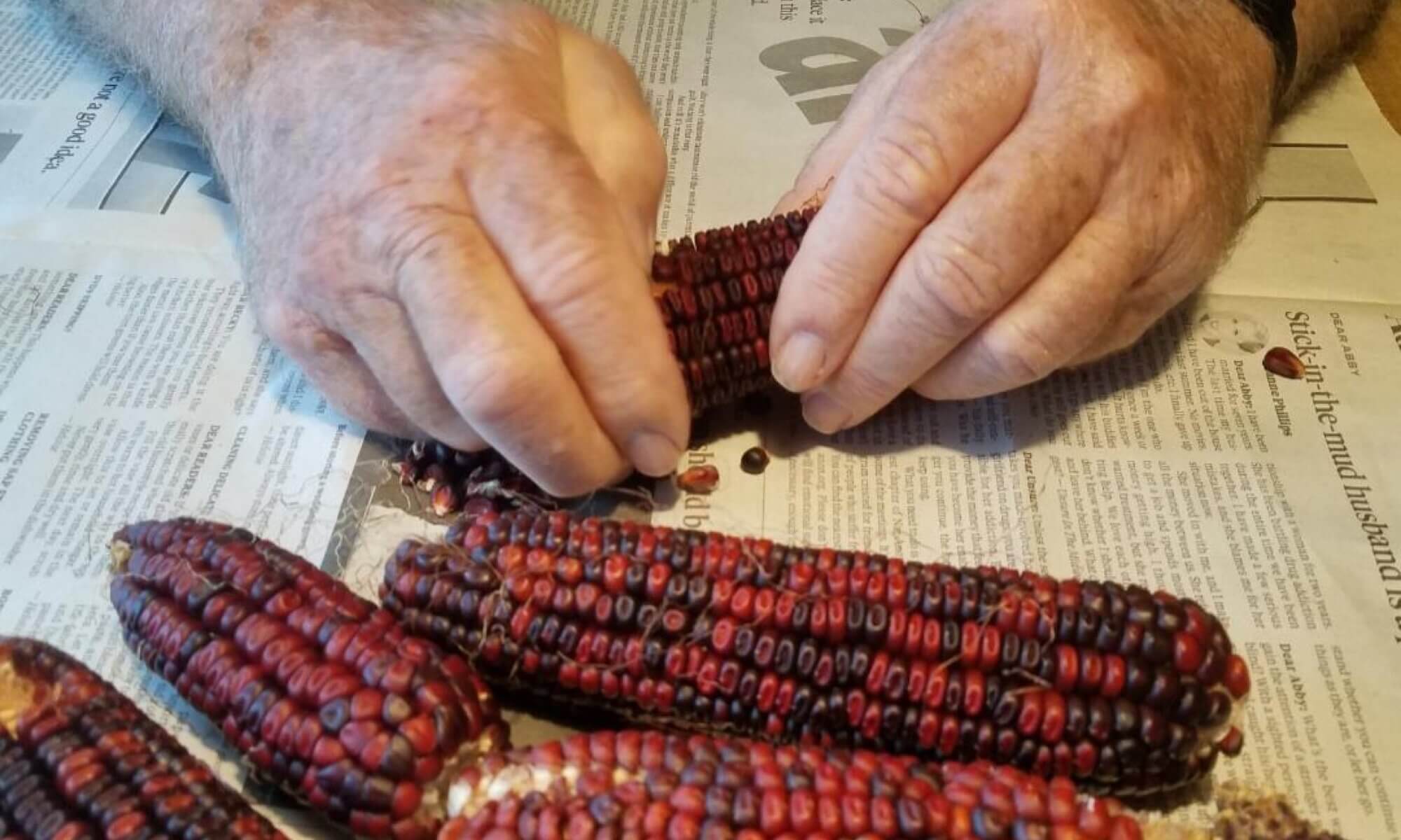 Engineered Spirits - Shelling Corn