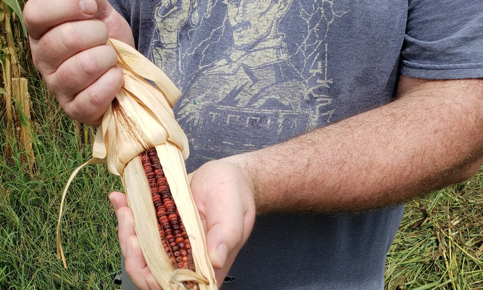 Engineered Spirits - Jimmy Red Corn