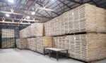 Stacks of white oak staves ready to be put out into the yard for aging